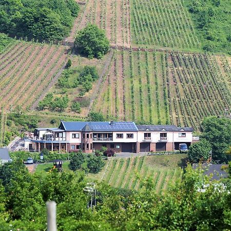 Urlaubsweingut Zecherhof Neef Kültér fotó