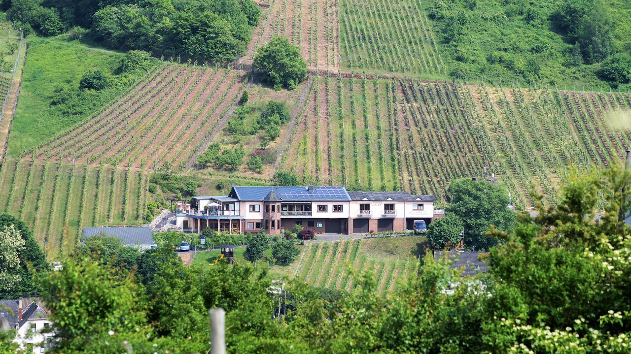 Urlaubsweingut Zecherhof Neef Kültér fotó