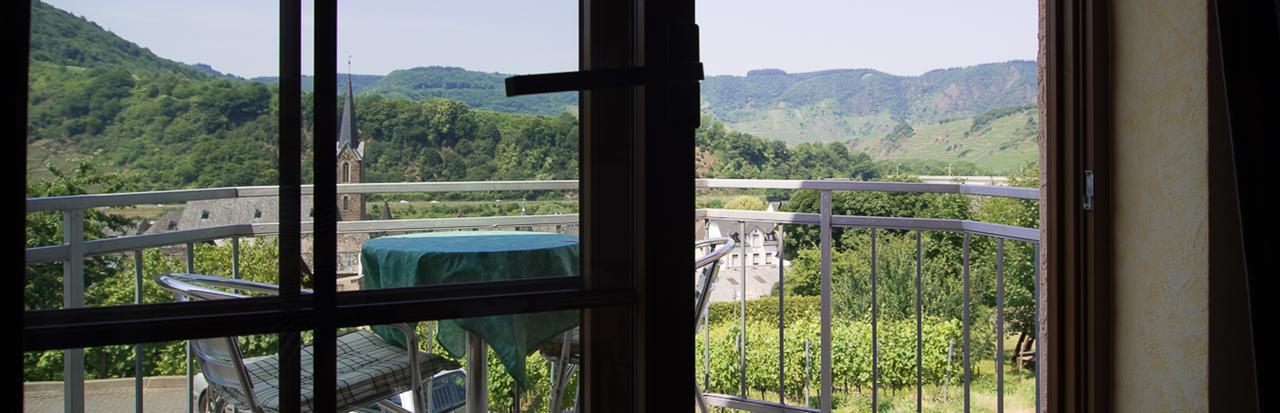 Urlaubsweingut Zecherhof Neef Kültér fotó